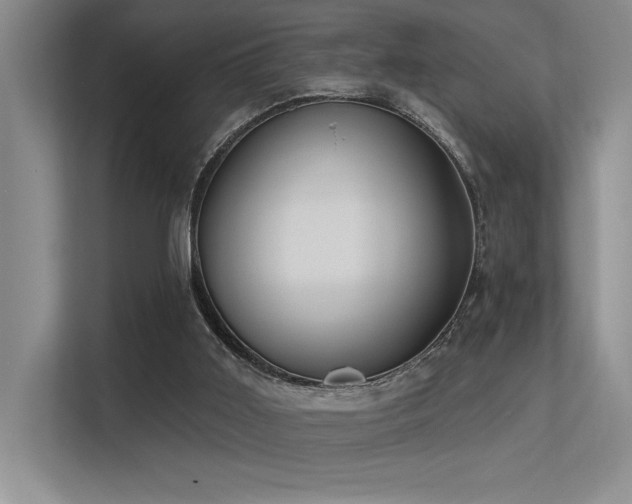 X0000113360011200909151244