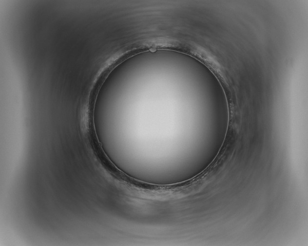 X0000113360012200909151244