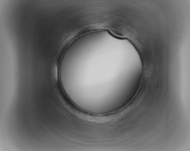 X0000113360014200909151244
