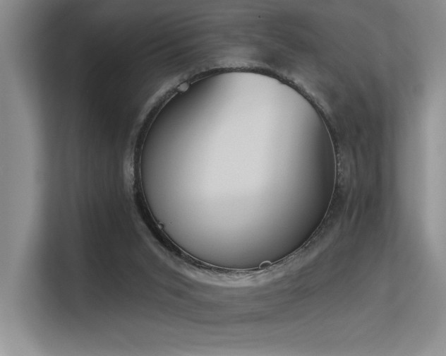 X0000113360015200909151244