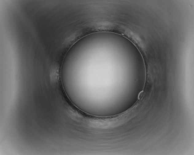 X0000113360017200909151244