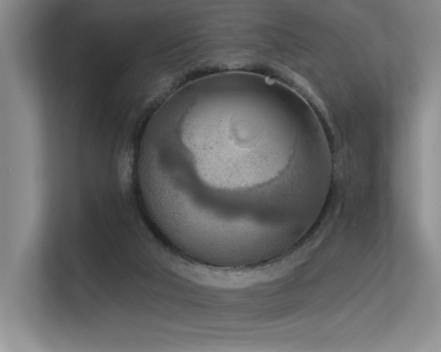 X0000113360018200909151244