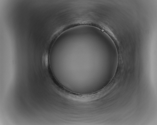 X0000113360019200909151244