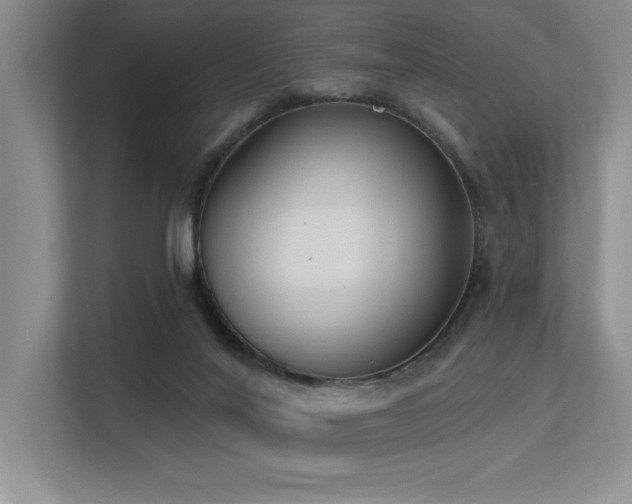 X0000113360020200909151244