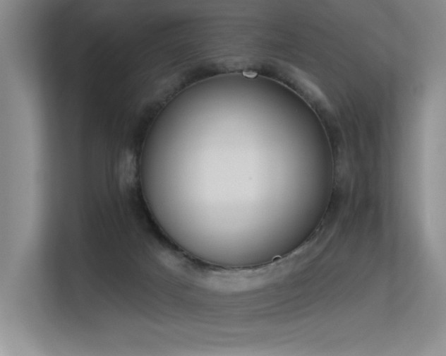 X0000113360025200909151244