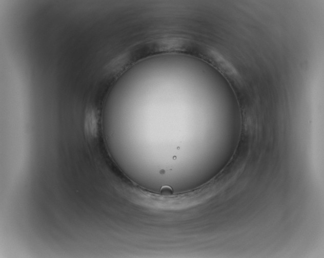 X0000113360026200909151244