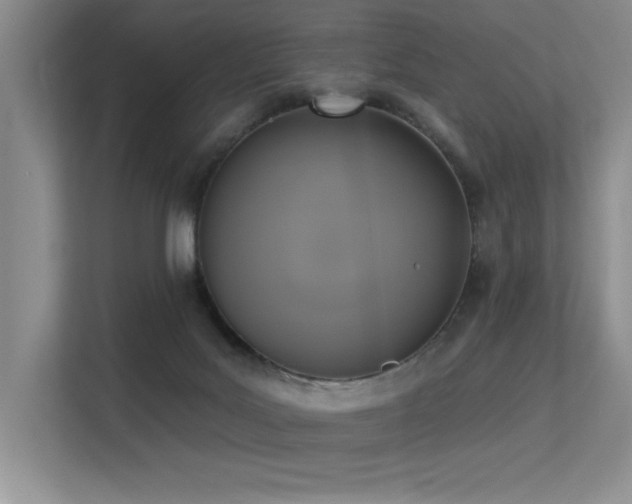 X0000113360027200909151244