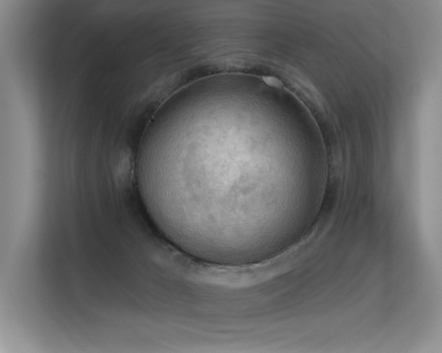 X0000113360029200909151244