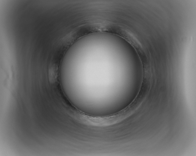 X0000113360030200909151244