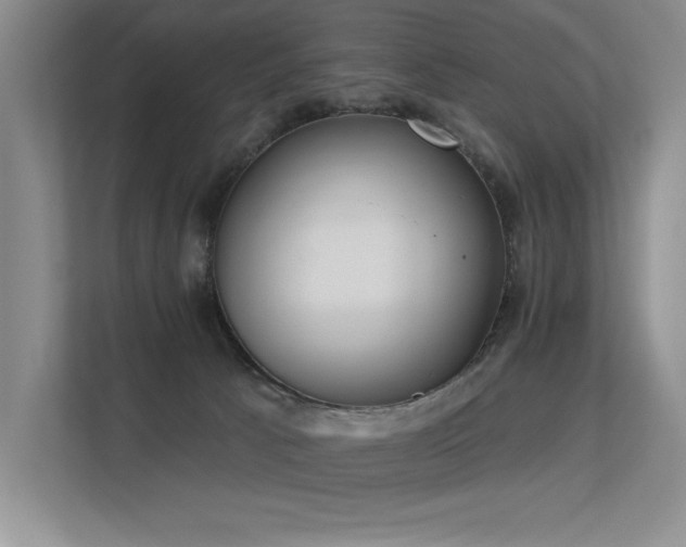 X0000113360033200909151244