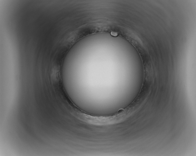 X0000113360034200909151244
