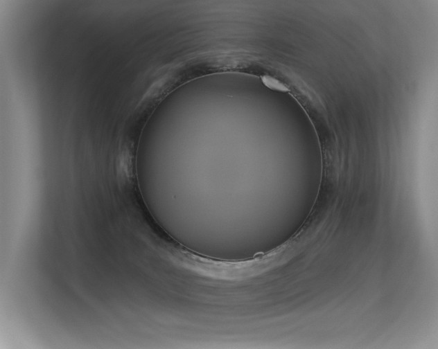 X0000113360035200909151244
