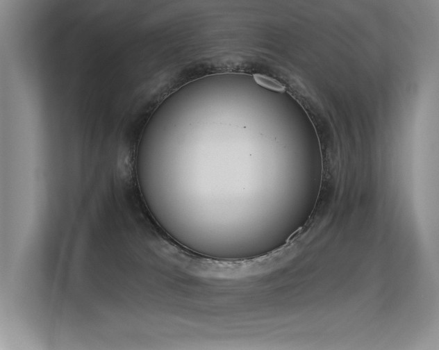 X0000113360037200909151244