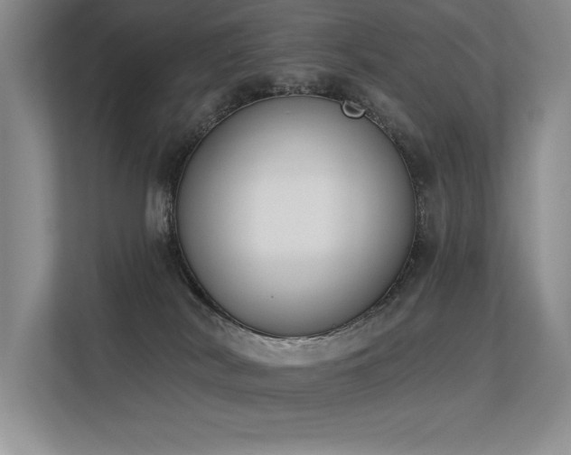 X0000113360038200909151244