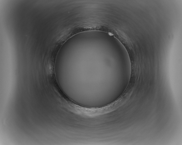 X0000113360039200909151244