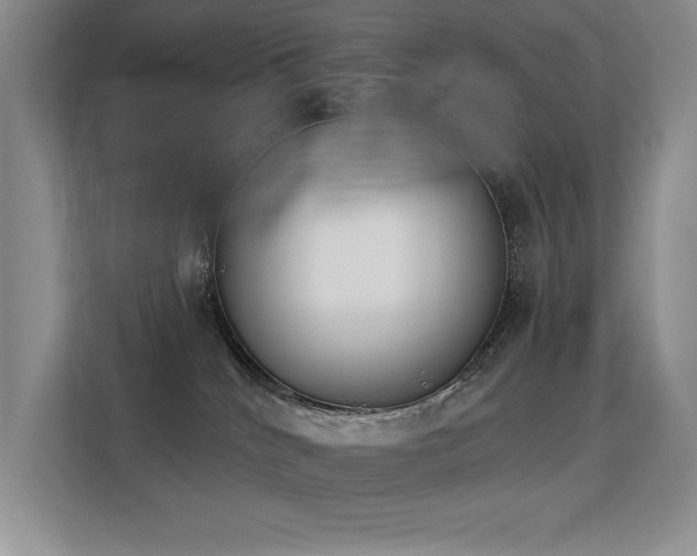 X0000113360040200909151244