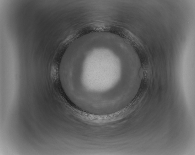 X0000113360043200909151244