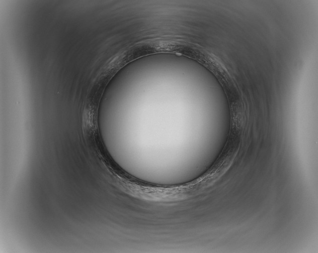 X0000113360044200909151244