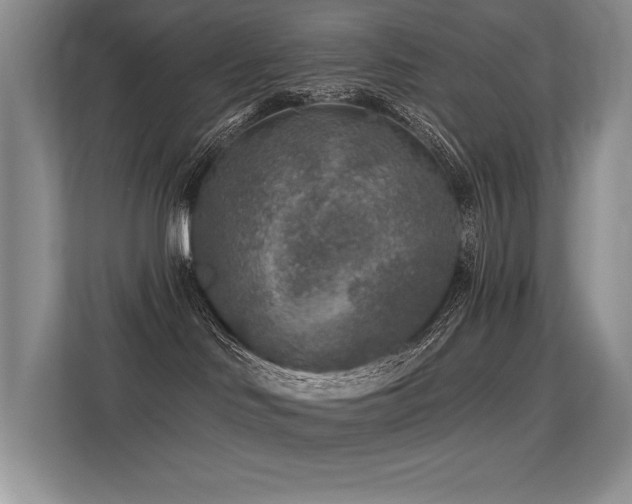 X0000113360046200909151244