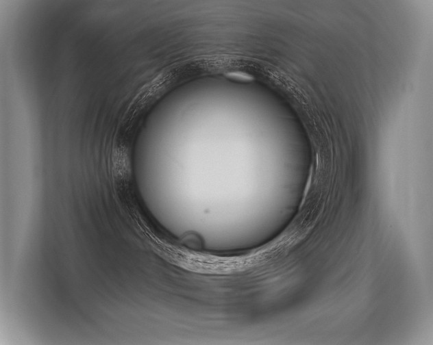 X0000113360048200909151244