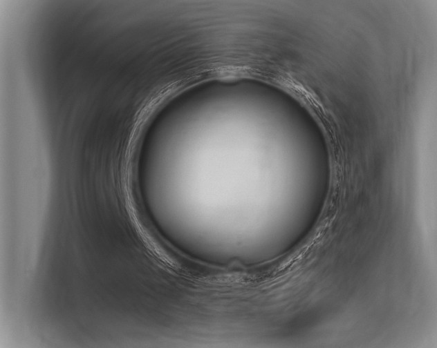 X0000113360049200909151243