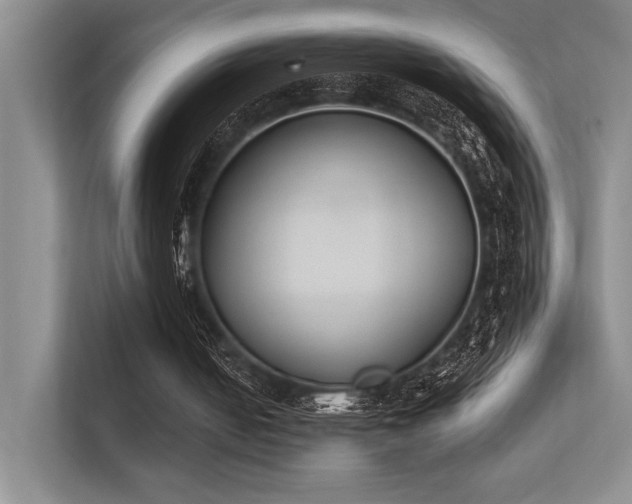 X0000113360050200909151243