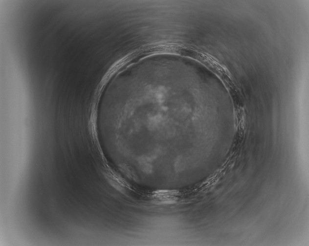 X0000113360051200909151243