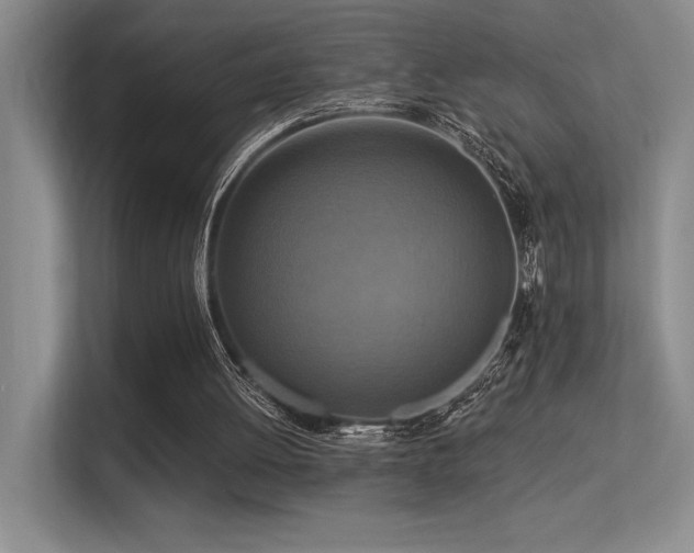 X0000113360052200909151243