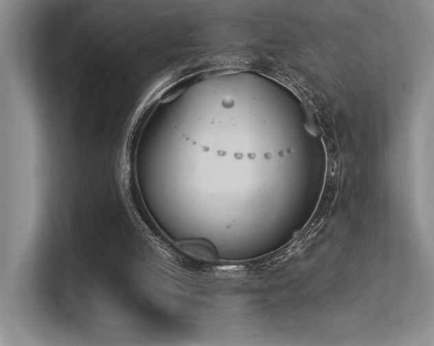 X0000113360053200909151243