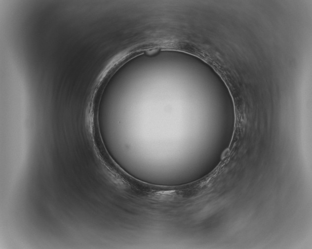X0000113360054200909151243