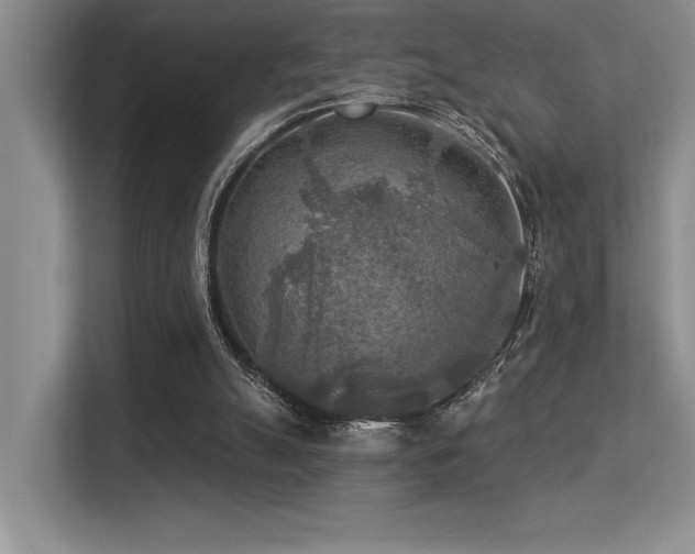 X0000113360055200909151243