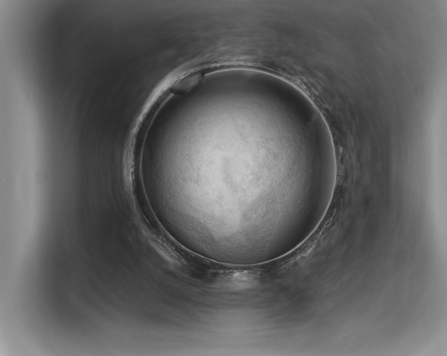 X0000113360056200909151243