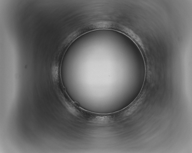 X0000113360057200909151243