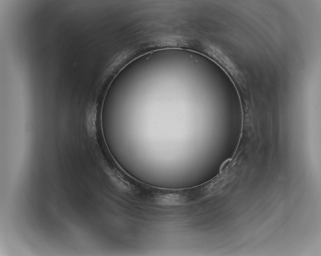 X0000113360058200909151243