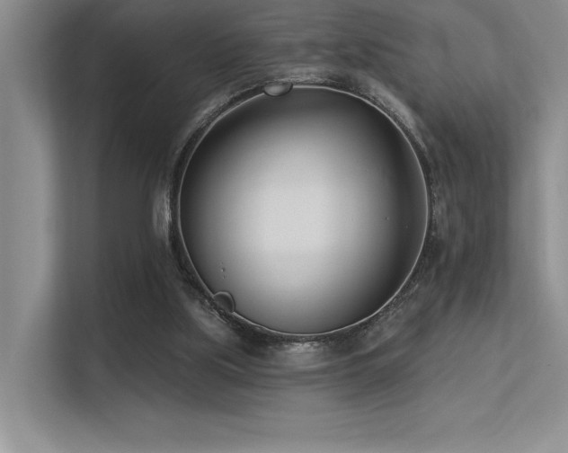 X0000113360059200909151243