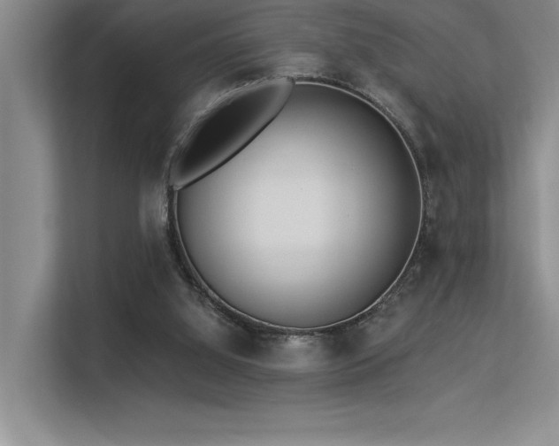 X0000113360060200909151243