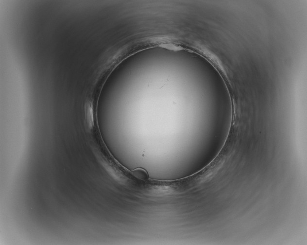 X0000113360061200909151243