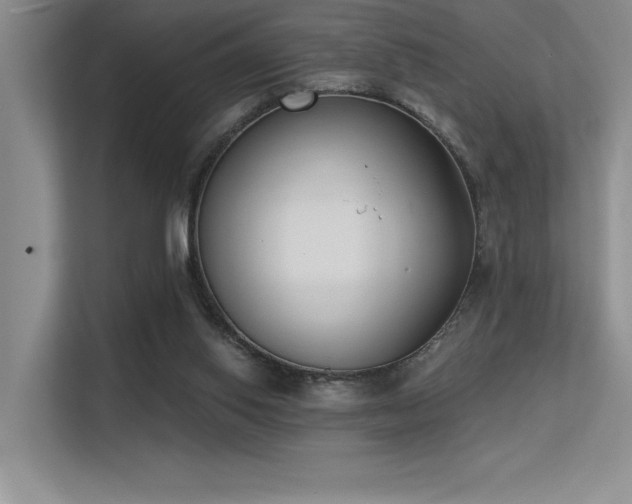 X0000113360062200909151243