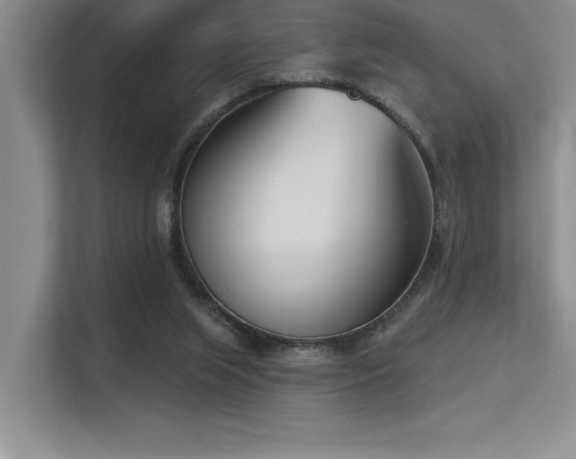 X0000113360063200909151244