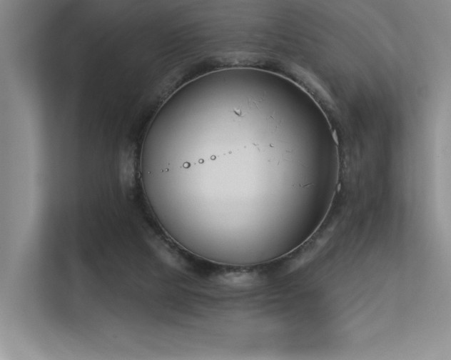 X0000113360065200909151244