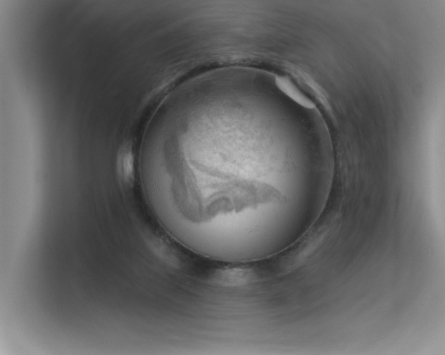 X0000113360067200909151244