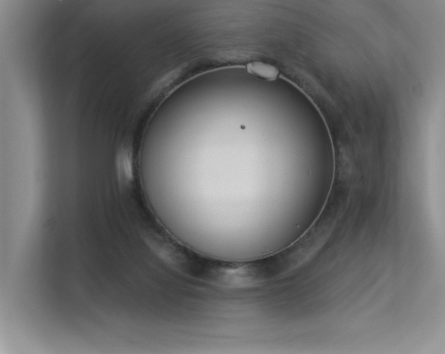 X0000113360068200909151244