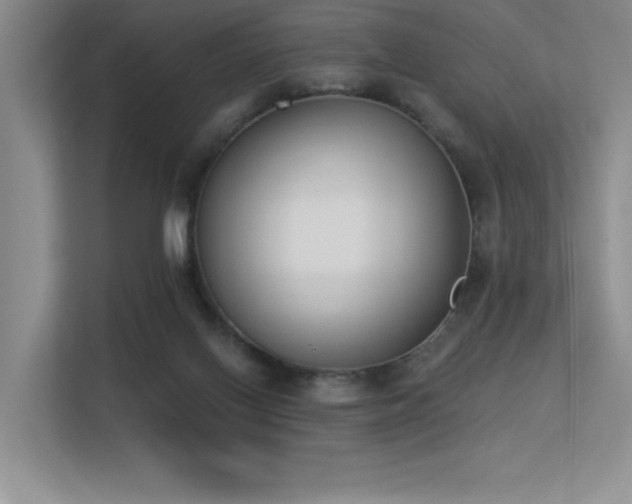 X0000113360070200909151244