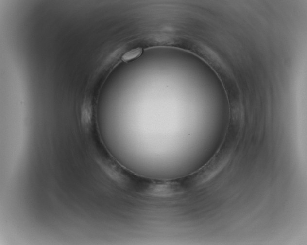 X0000113360072200909151244