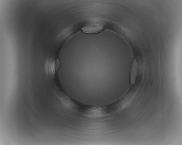 X0000113360076200909151244