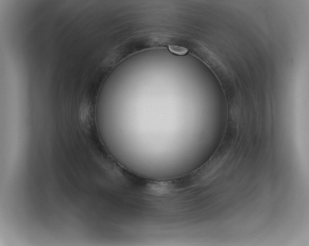 X0000113360079200909151244