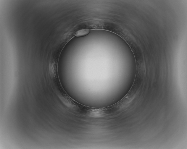 X0000113360088200909151244