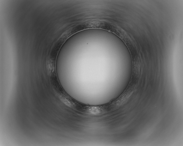 X0000113360091200909151244