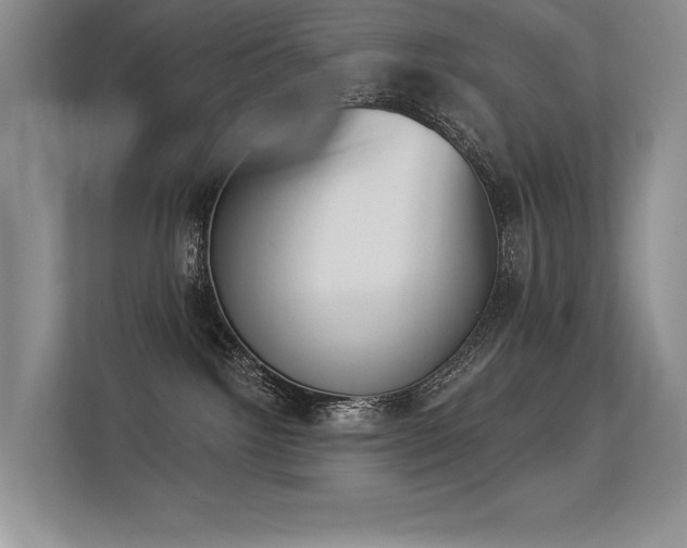 X0000113360092200909151244