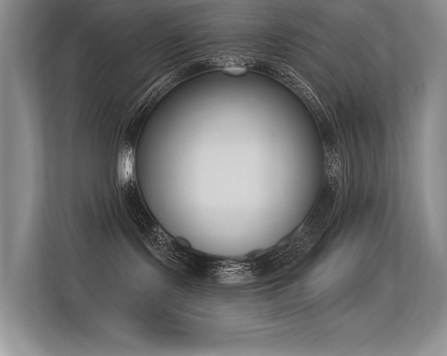 X0000113360095200909151244